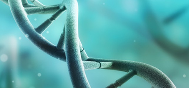 Einfluss Der Gene Auf Die Persönlichkeit